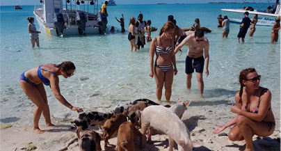 Public Full-Day Tours