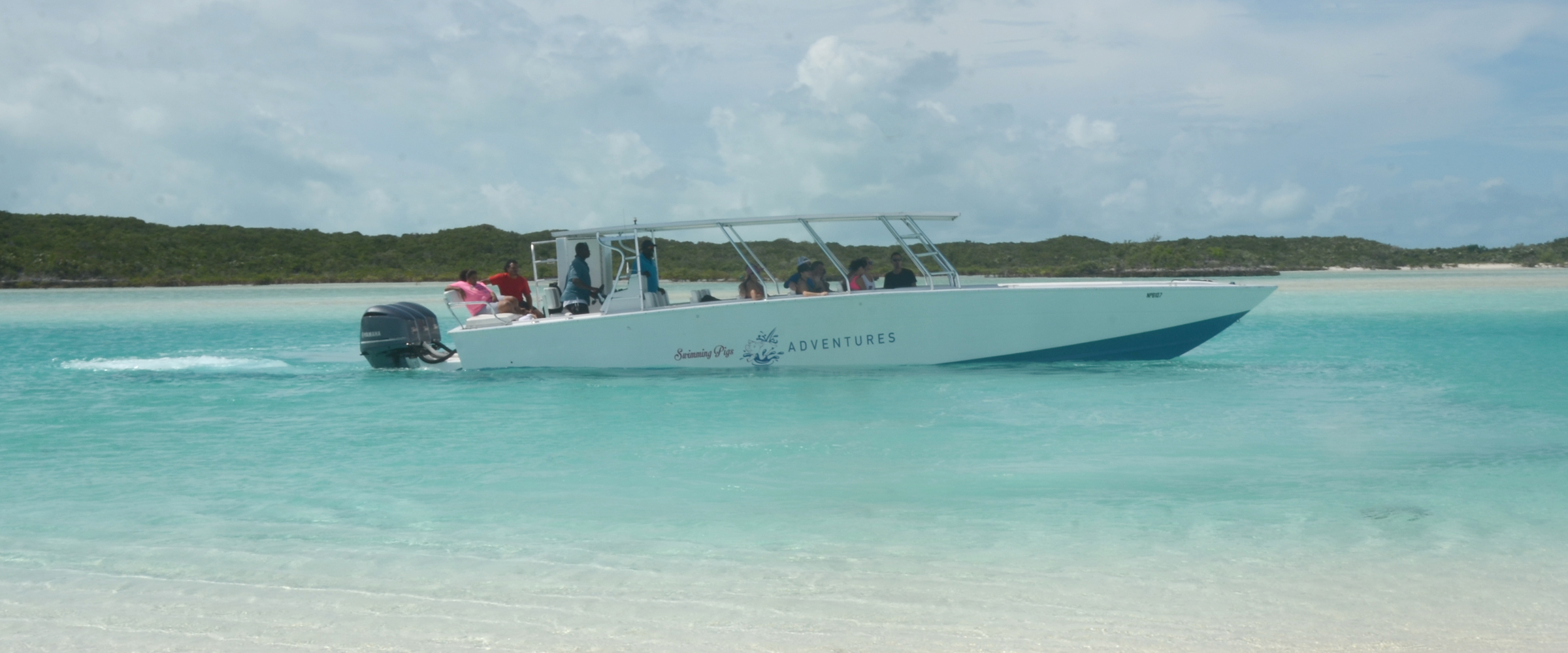 Swimming Pigs Tour in Bahamas